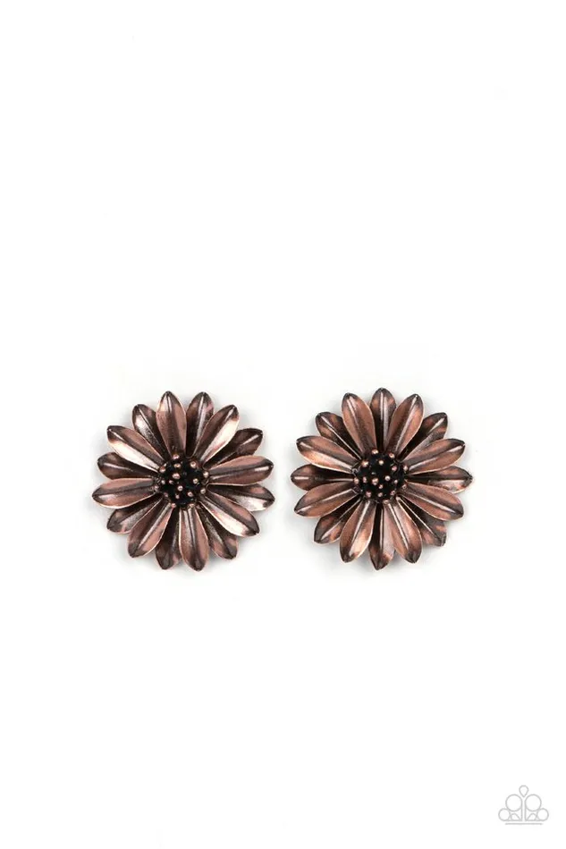 Earrings Paparazzi Jewelry Paparazzi Earring Daisy Dilemma Copper Earrings Paparazzi Jewelry Paparazzi Earring Daisy Dilemma Copper