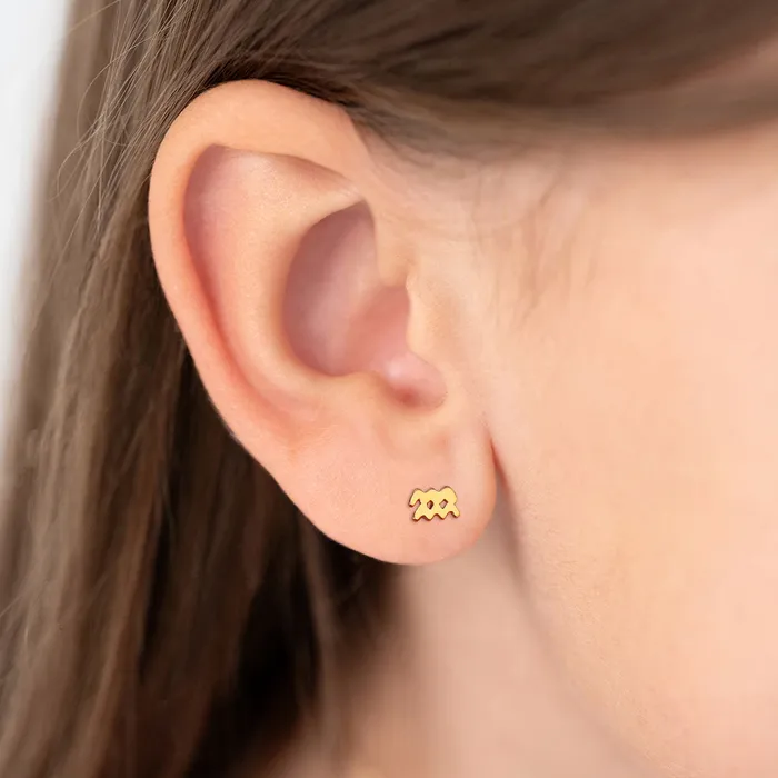 Earrings Split 14k Gold Dainty Aquarius Zodiac Baby Toddler Kids Earrings Safety Screw Back